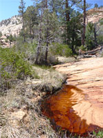 Sandy stream
