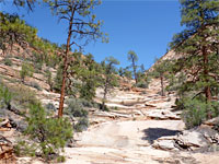 Tributary streambed