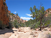 Flat streambed