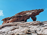 Eroded rock near Davis Gulch