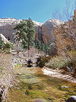 Stream, trees and cliffs