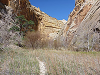 Sandy grassland