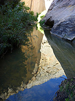 Reflections on a pool