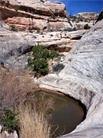 Pool below a tributary