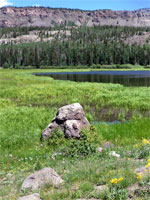 Rocks by the lake