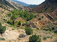 Desert Voices Trail