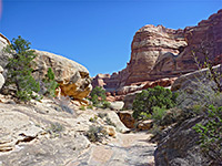 Elephant Canyon