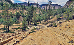 Slickrock above Clear Creek