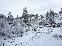 Bend along the trail