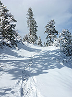 Snowy hillside