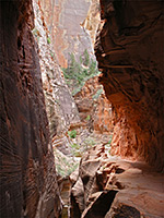 Trail past Echo Canyon