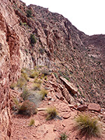 Echo Pass Trail