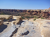 Rocks along Elephant Hill Trail