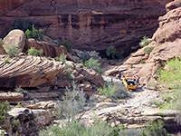 Truck on Elephant Hill