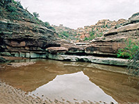 Muddy pool