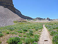 Pass near Emerald Lake