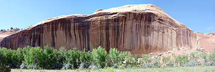 Sheer cliff on the south side of the Escalante River