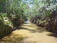 Escalante River