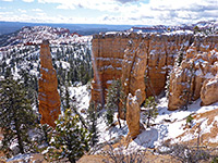 Trees and pinnacles