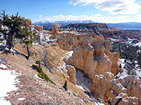 Snow on the rim