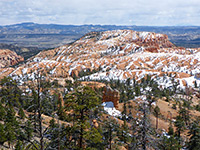 Bristlecone Point