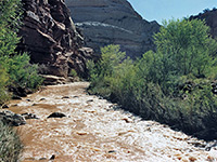 Fremont River, near the trailhead