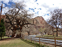 Road past Fruita