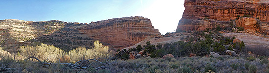 Cedar Mesa, Grand Gulch and Comb Ridge