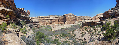 Viewpoint above Grand Gulch