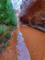 Sandy creek