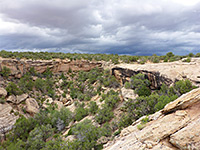 Hackberry Canyon