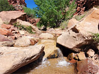 Cascade