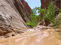 Water and sand