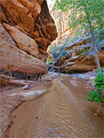 Ripples along the stream
