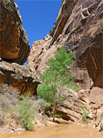 Streaked cliffs