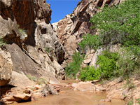 View upstream