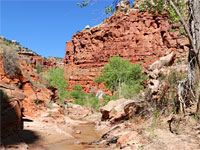 Red cliffs