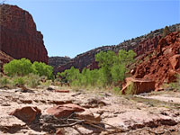 Boulders and trees