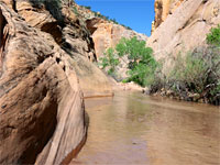 Water and rock