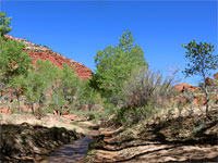 Shadows on the creek