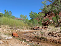 Bends along the stream