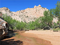 The streambed