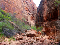 The rocky canyon