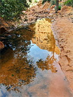 Reflections on a pool