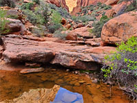 Pool and ledge