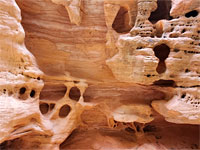 Tafoni