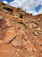 Boulders on the trail