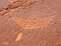 Elk petroglyph
