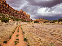 Grassy path