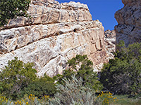 Hog Canyon Trail